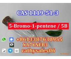 high quality CAS 1119-51-3 1-bromo-4-pentene (5B) safe delivery