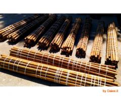 Vendo canne di bambù bambu con diametro da 1 cm. fino a 10 cm.